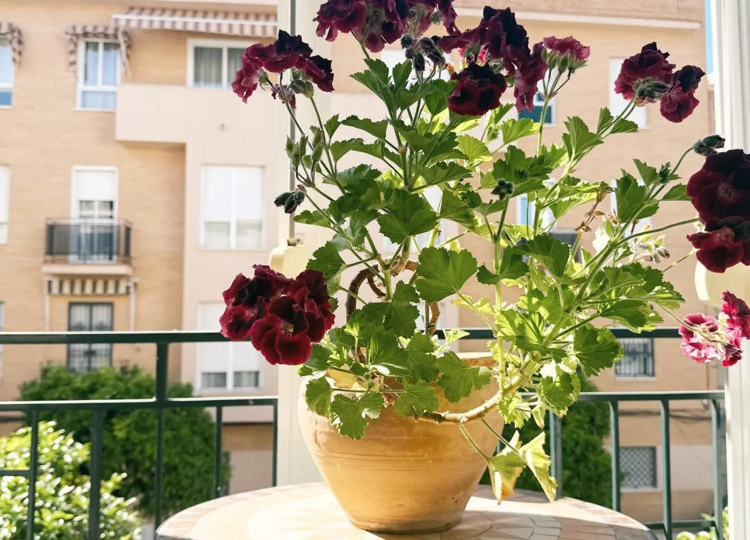 شقة El Balcon De La Luz إشبيلية